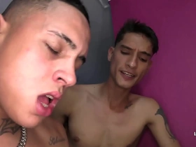 Bottom bred by three hung studs