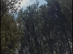 Man half hard on nude beach