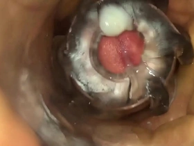 Flashlight cumshot compilation