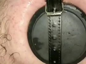 11cm wide butt plug strapped in my ass